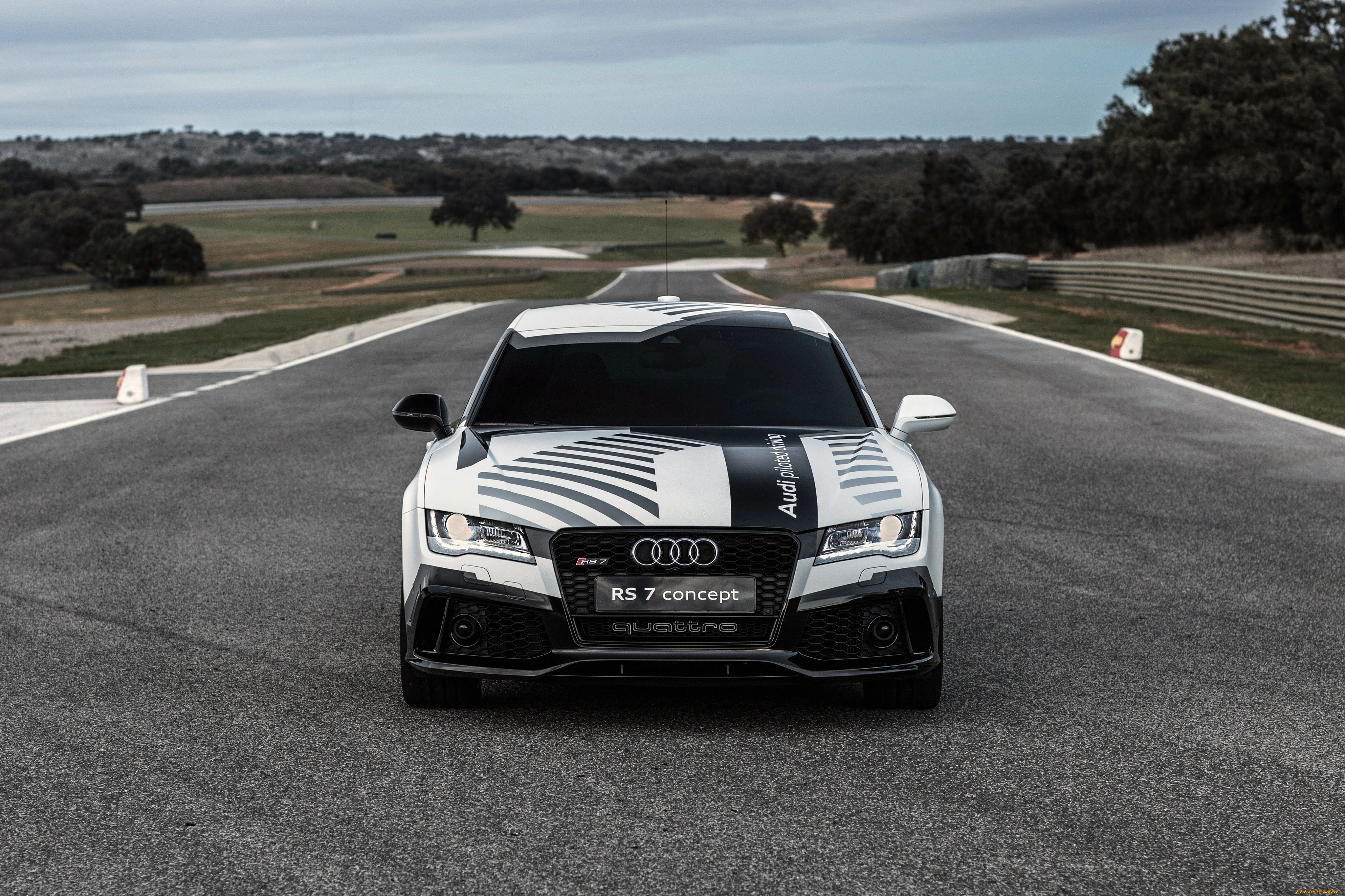 , audi, piloted, 2014, concept, driving, rs, 7
